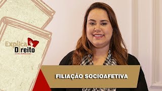 Explica Direito Filiação Socioafetiva  2019 [upl. by Odeen]