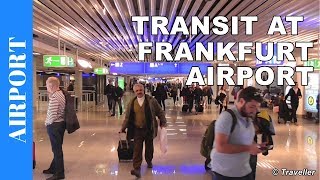 TRANSIT WALK AT FRANKFURT Airport FRA Terminal 1  Connection Flight Transfer Arriving amp Departing [upl. by Stedt]